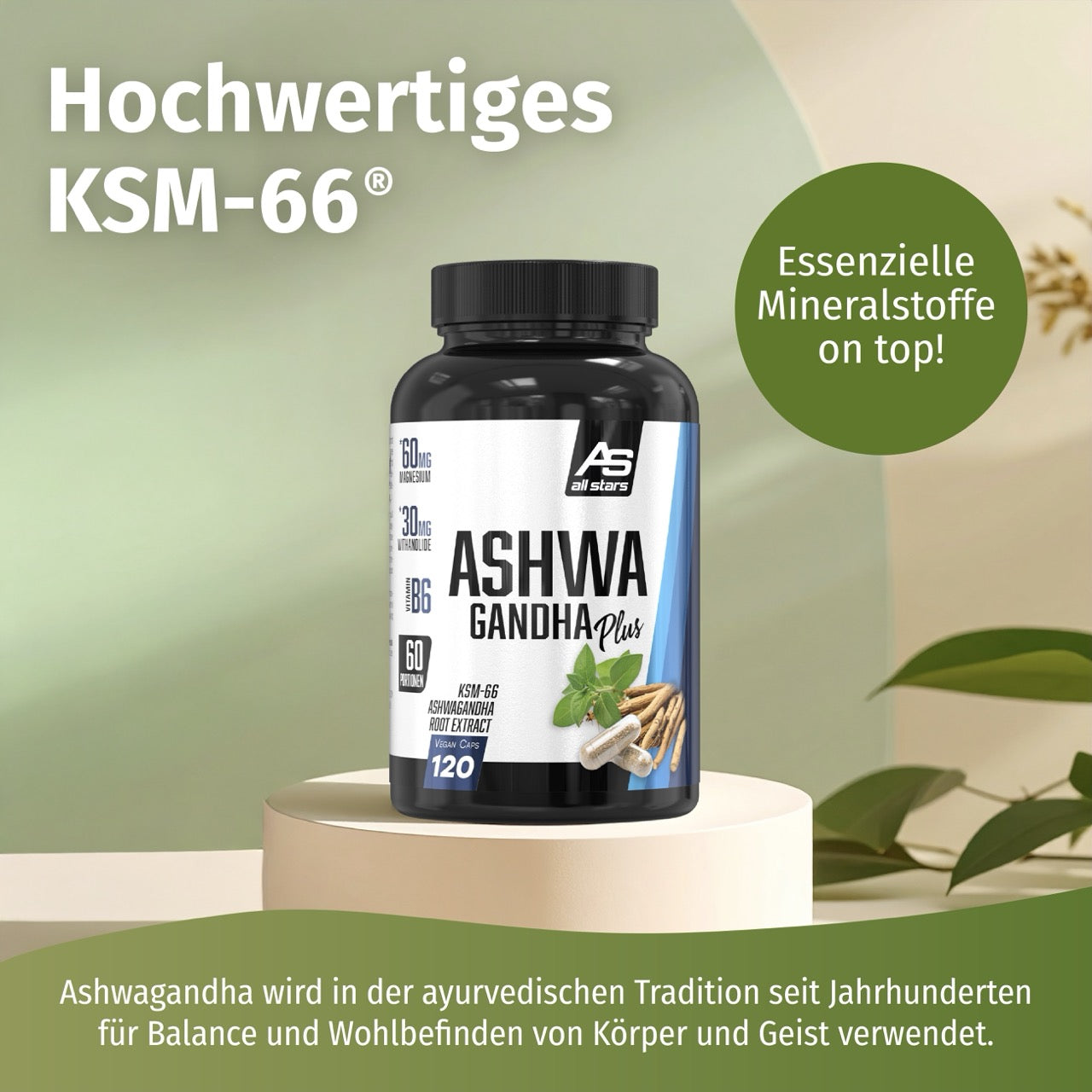 all-stars-ashwagandha-ksm-66-120-kapseln image 5