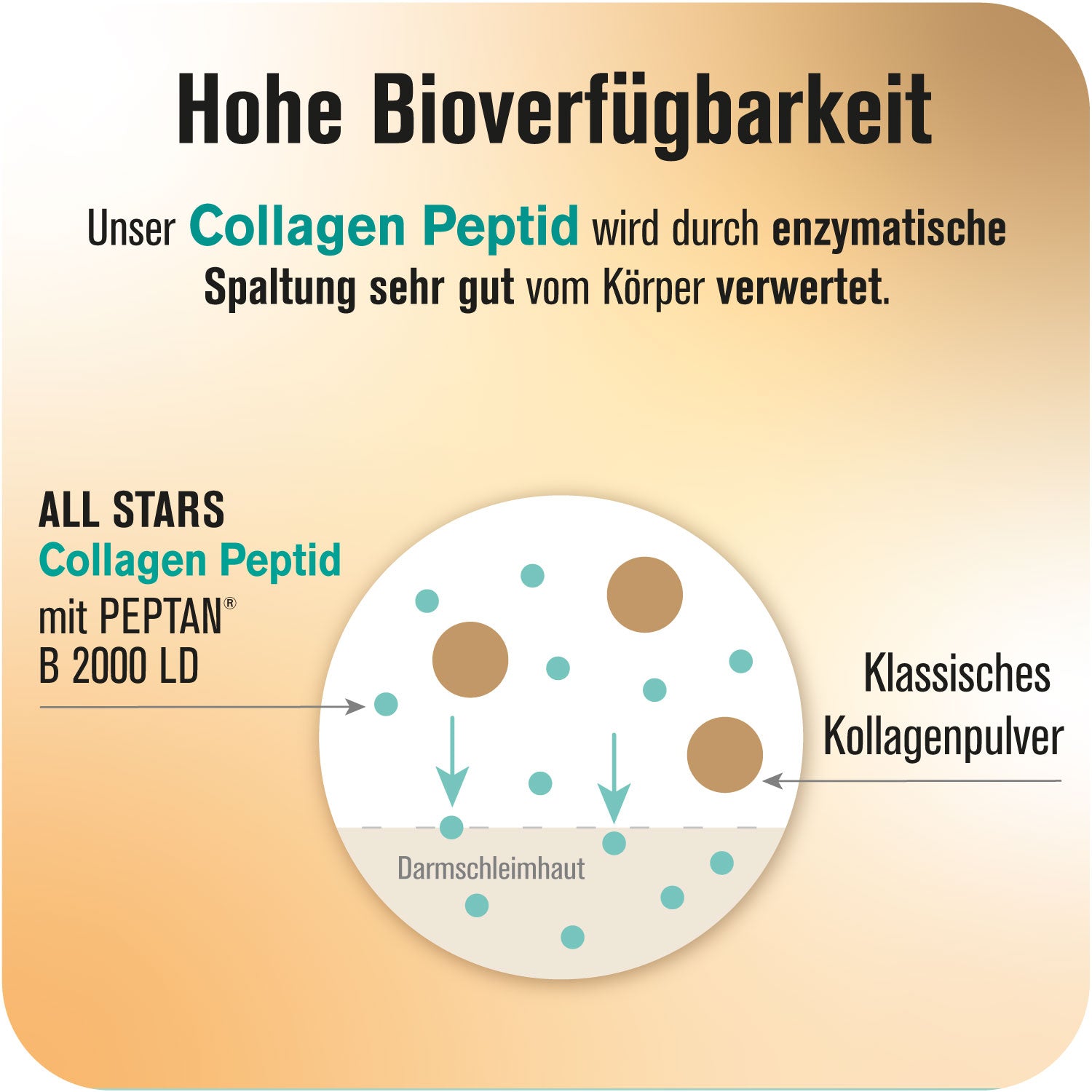 all-stars-collagen-peptide-pulver-300-g-dose-typ-i-ii-iii image 5