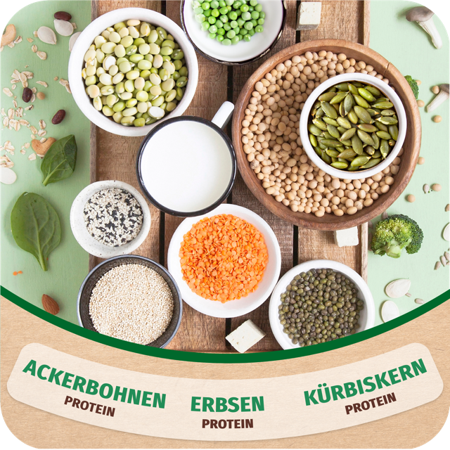 all-stars-vegan-protein-300g-dose-pflanzliches-eiwei image 3